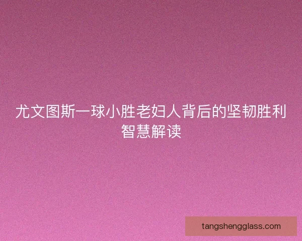 尤文图斯一球小胜老妇人背后的坚韧胜利智慧解读