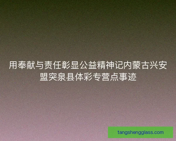 用奉献与责任彰显公益精神记内蒙古兴安盟突泉县体彩专营点事迹