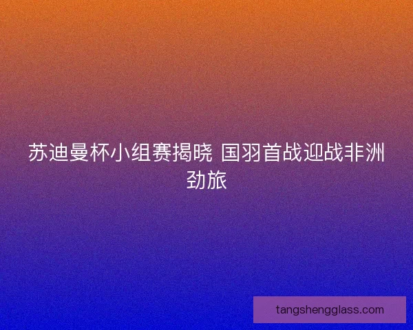 苏迪曼杯小组赛揭晓 国羽首战迎战非洲劲旅