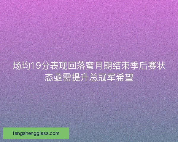 场均19分表现回落蜜月期结束季后赛状态亟需提升总冠军希望
