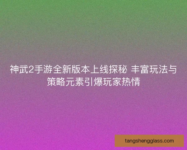 神武2手游全新版本上线探秘 丰富玩法与策略元素引爆玩家热情