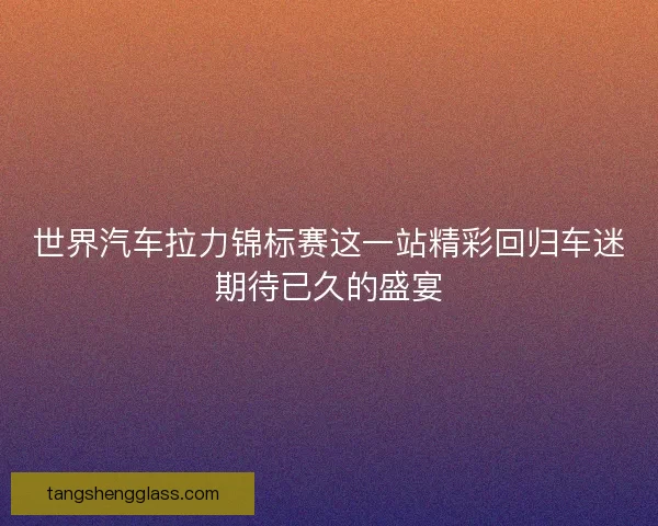 世界汽车拉力锦标赛这一站精彩回归车迷期待已久的盛宴 世界汽车拉力锦标赛这一站精彩回归车迷期待已久的盛宴