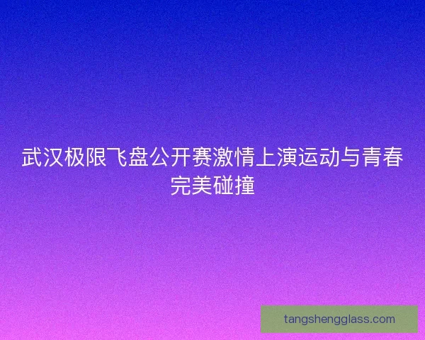 武汉极限飞盘公开赛激情上演运动与青春完美碰撞
