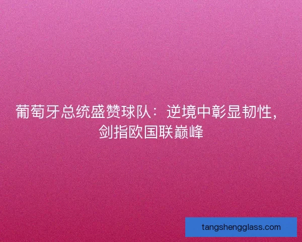 葡萄牙总统盛赞球队：逆境中彰显韧性，剑指欧国联巅峰