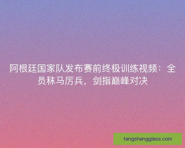 阿根廷国家队发布赛前终极训练视频：全员秣马厉兵，剑指巅峰对决