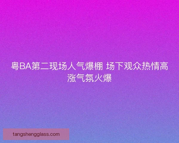 粤BA第二现场人气爆棚 场下观众热情高涨气氛火爆