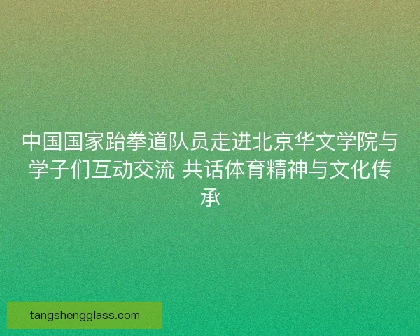 中国国家跆拳道队员走进北京华文学院与学子们互动交流 共话体育精神与文化传承