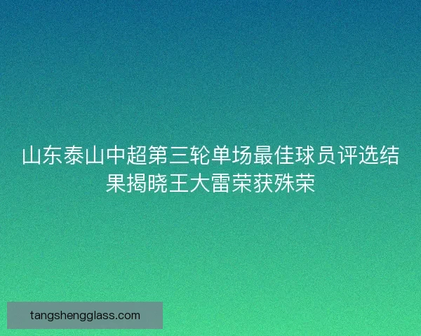 山东泰山中超第三轮单场最佳球员评选结果揭晓王大雷荣获殊荣 山东泰山中超第三轮单场最佳球员评选结果揭晓王大雷荣获殊荣