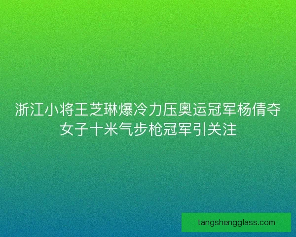 浙江小将王芝琳爆冷力压奥运冠军杨倩夺女子十米气步枪冠军引关注 浙江小将王芝琳爆冷力压奥运冠军杨倩夺女子十米气步枪冠军引关注